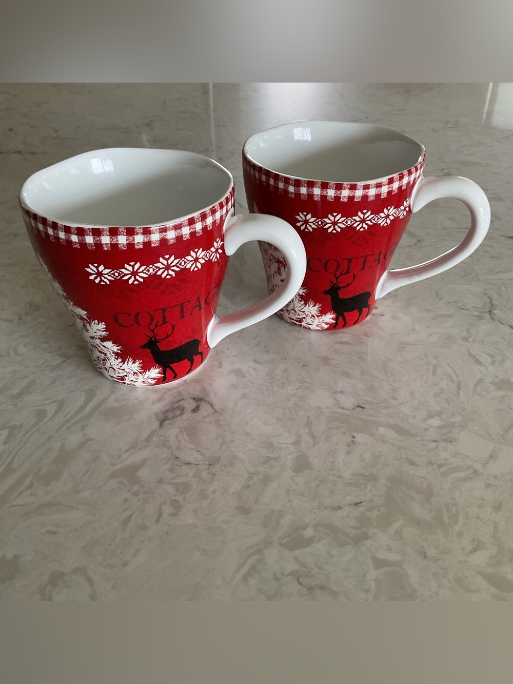 NWOT 222 Fifth Porcelain “Northwood Cottage” 17 Ounce Mug, Set of 2